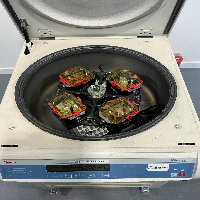 Thermo Scientific Heraeus Multifuge X3 FR image 2